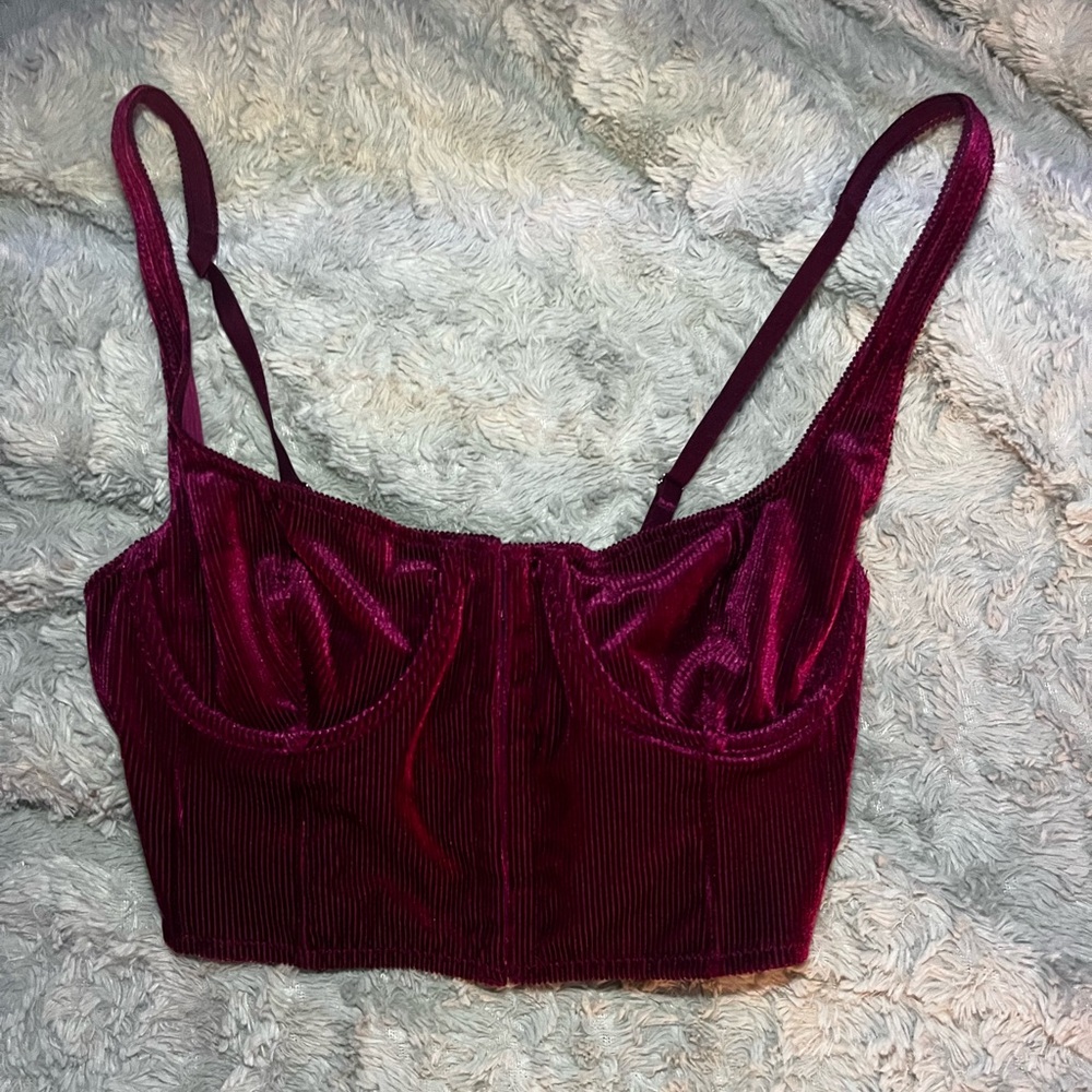 Urban Outfitters Velvet Plum Corset Top